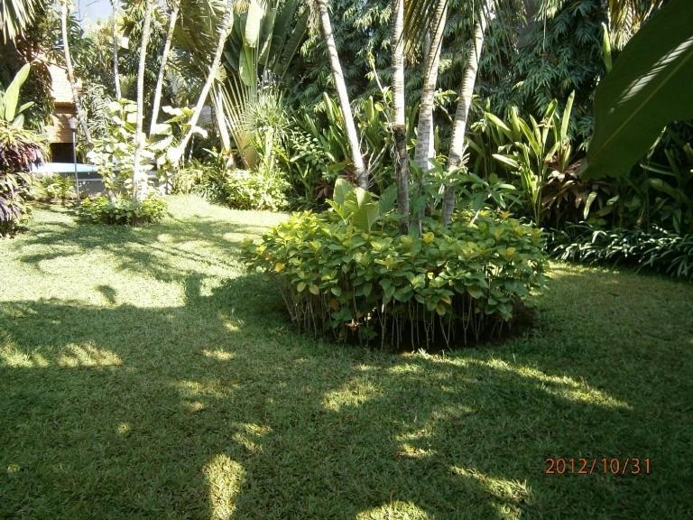 Adus Beach Inn Legian Eksteriør billede